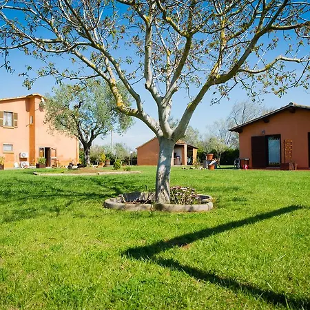 Agriturismo Spinicci Κατάλυμα σε φάρμα Tarquinia