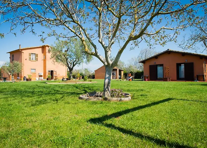 Agriturismo Spinicci Κατάλυμα σε φάρμα Tarquinia